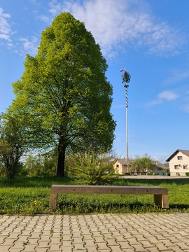 Klop in mlaj v ozadju